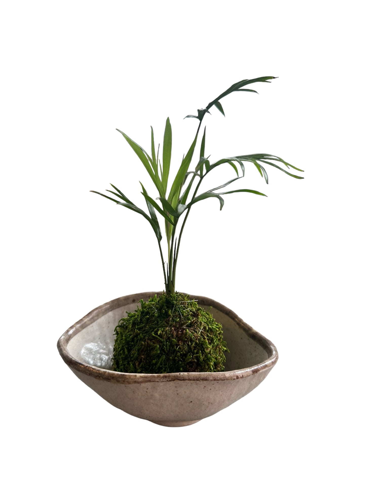 Rustic Stone Pebble Bowl, good for small kokedama.