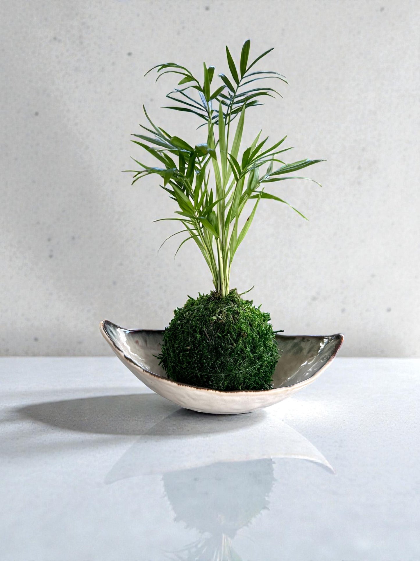 Boat (Fune) - Shape Kokedama Saucer – Soft White Glaze