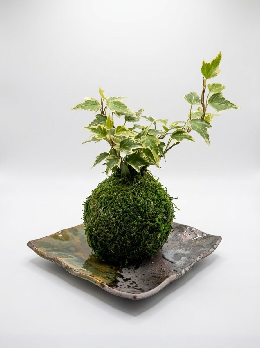 Banko Ware Oribe Green & Ash Drip-Glaze Square Ceramic Plate, Wabi-Sabi Banko Ware Square Display Tray (6.25" x 6")