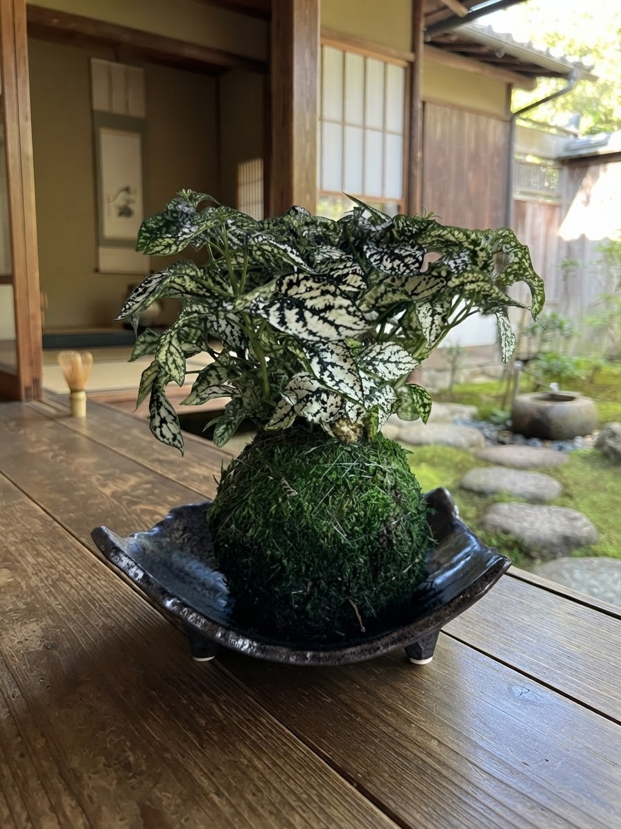 Yuzu Kuro Three-Footed Ceramic Kokedama Tray – Made in Japan