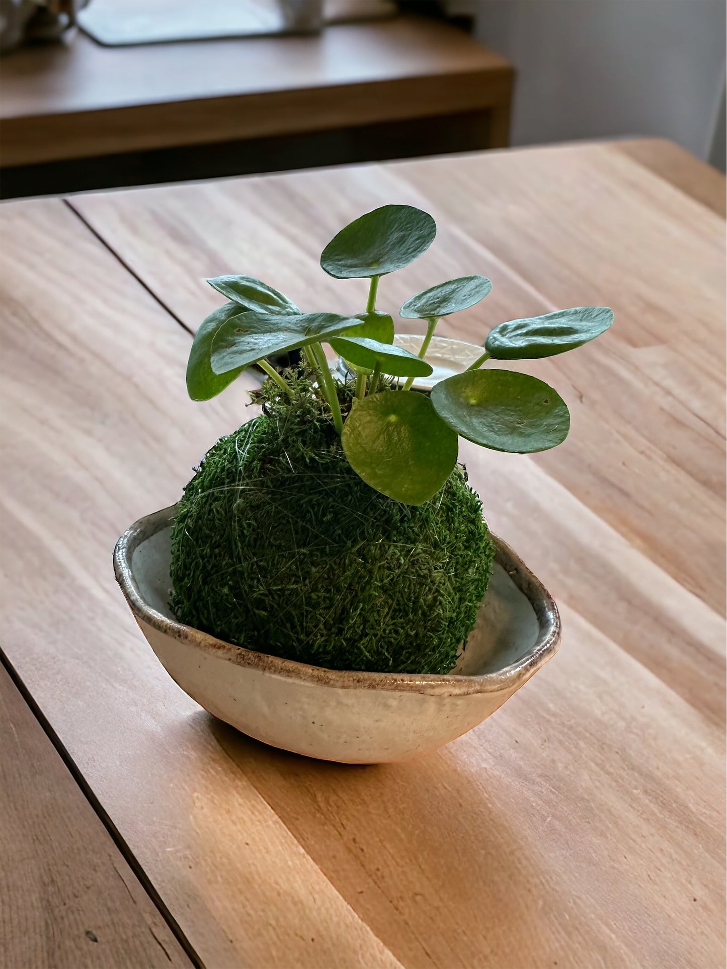 White base with grayish rim Japanese ceramic bowl, Natural, rustic and earthy glazes. 6" x 4.5" x 2.25"h