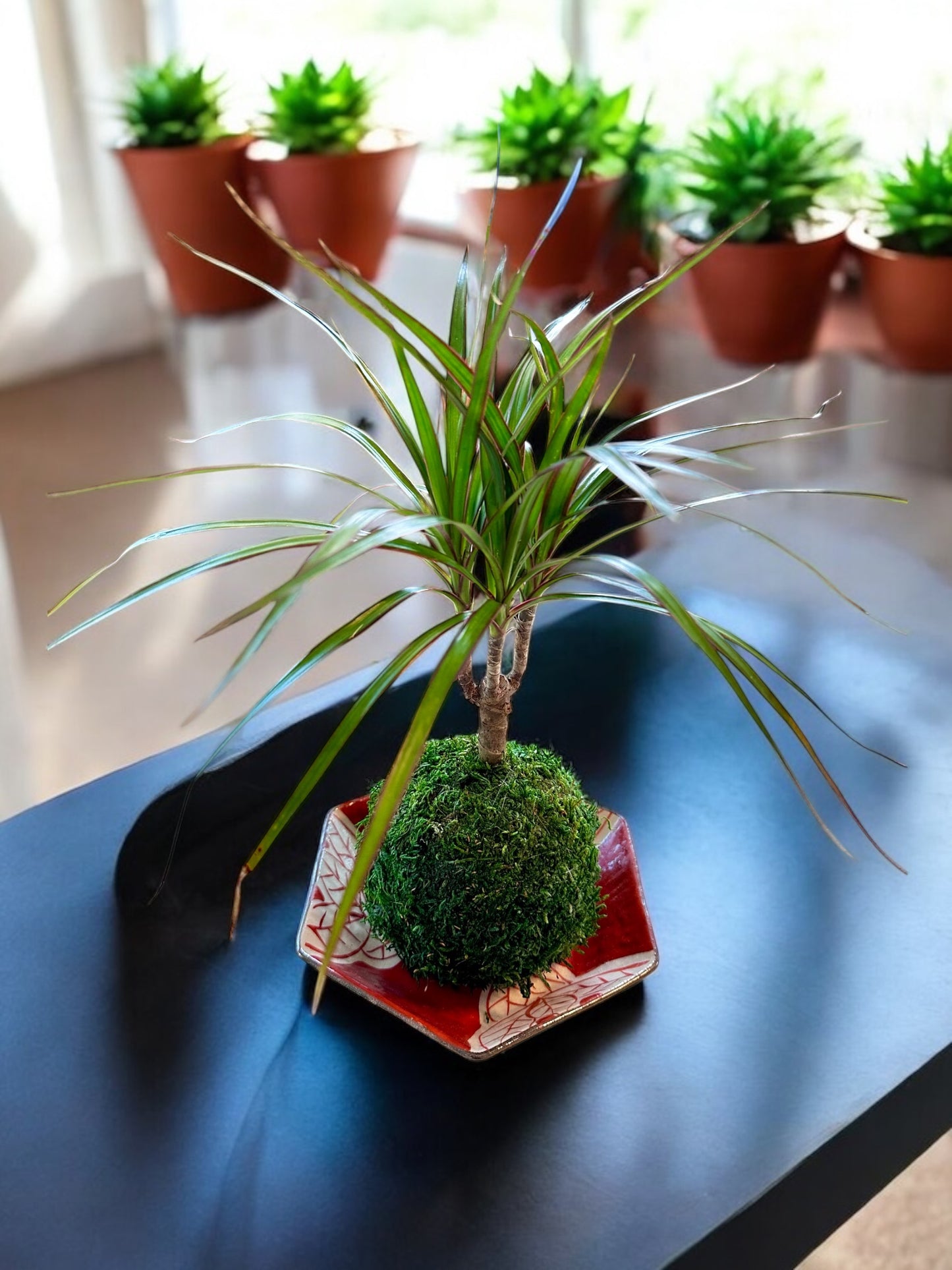 Crimson Leaf Dish – Hand-Drawn Pentagon Plate (7” Wide, 1.5" deep)