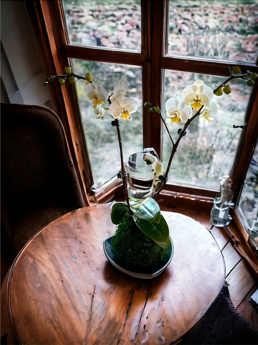 White Orchid Kokedama! Great gift for Mother's day, Birthday, House warming, you name it!