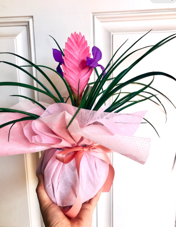 Gift Wrapping for Kokedama