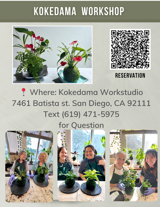 2/4, 5, 6, 10am $45/person,  Kokedama Workshop at our Studio in San Diego