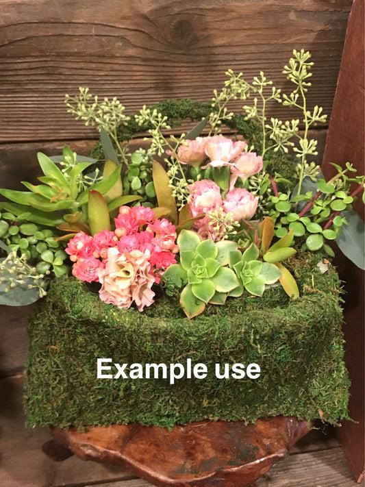 Deco Purse - Fresh Green Moss Basket!  Create your own moss basket garden.