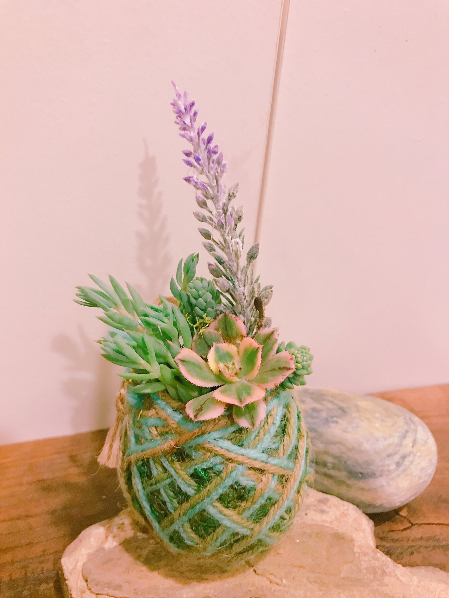 Assorted Succulents mini Kokedama with jute twine wrapped. Custom engravimg message availble.