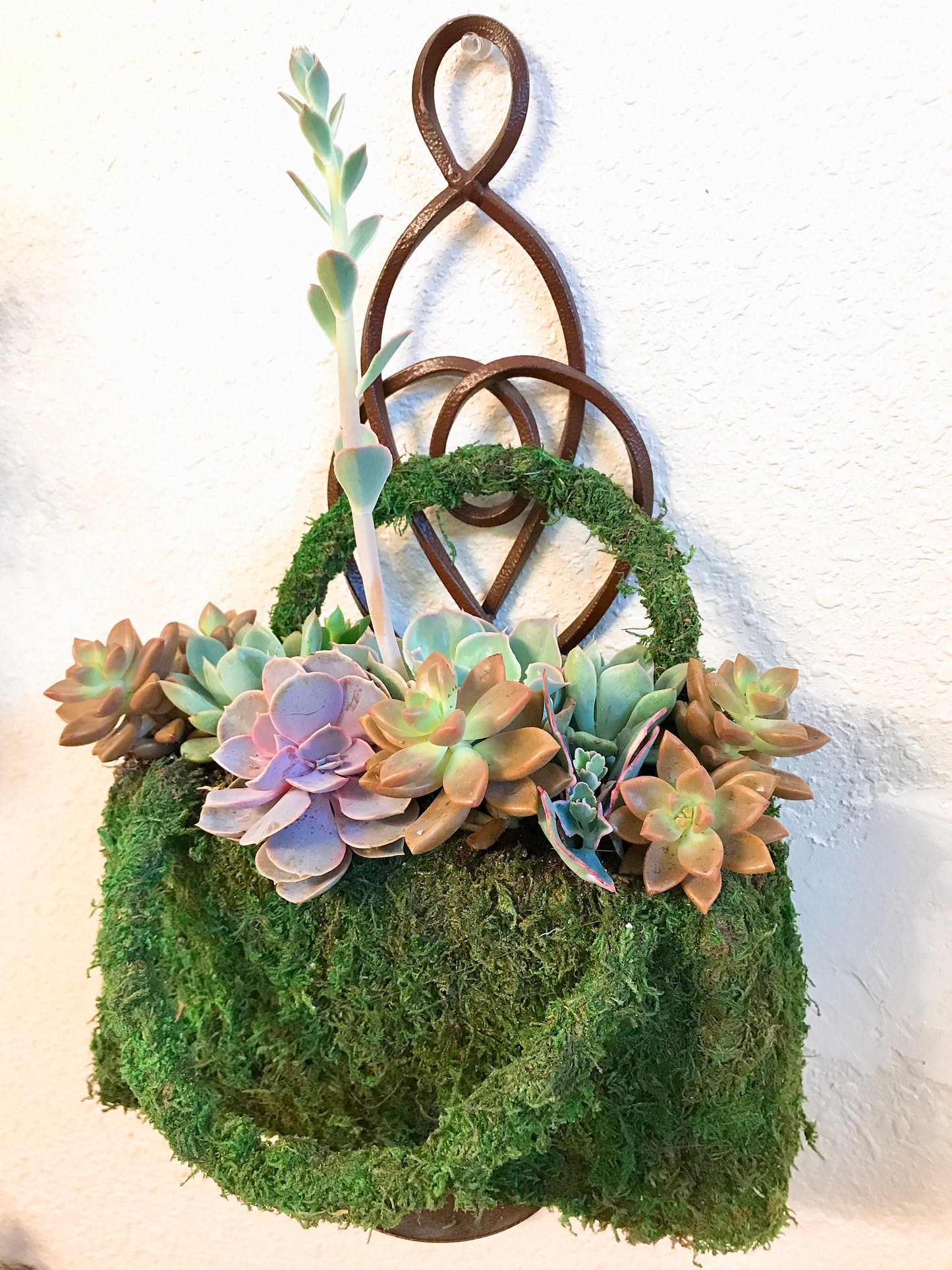 Succulents Moss deco purse - Fresh Green Moss Basket! Mindfulness house decor!