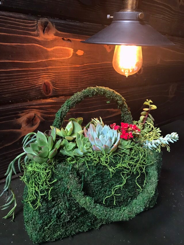 Succulents Moss deco purse - Fresh Green Moss Basket! Mindfulness house decor!