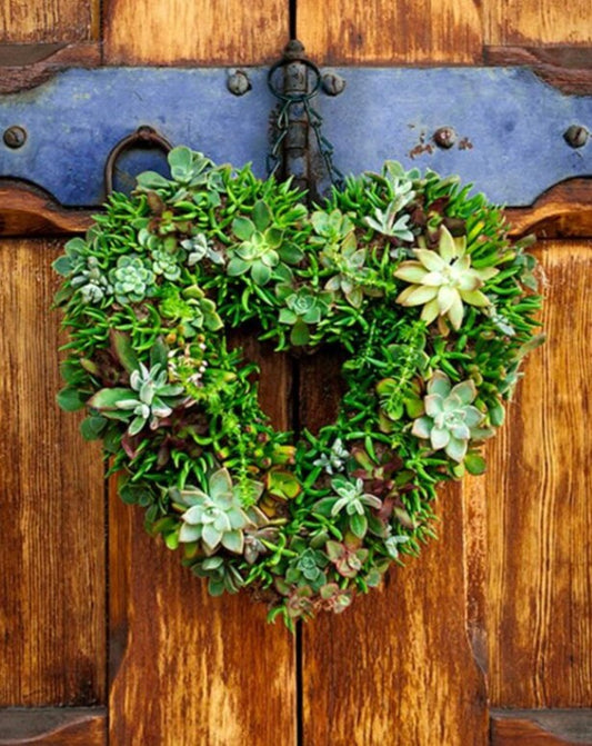 Living Wreath Heart 11" made out of sphagnum moss