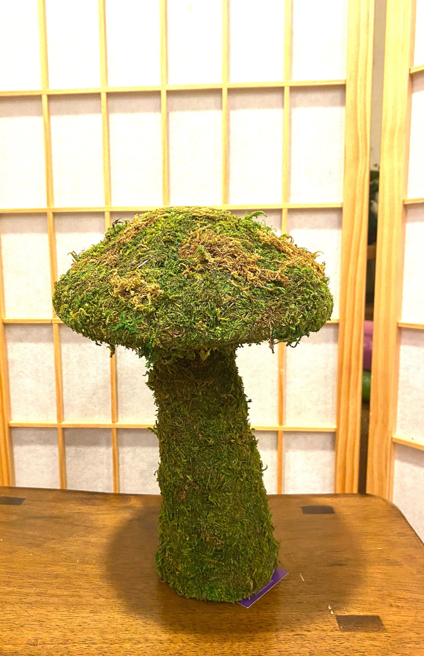 Mushroom deco garden, cute mushroom shape covered with preserved fresh green colored moss