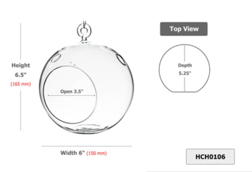 Clear Round Hanging Terrarium Globe 6" HCH0106