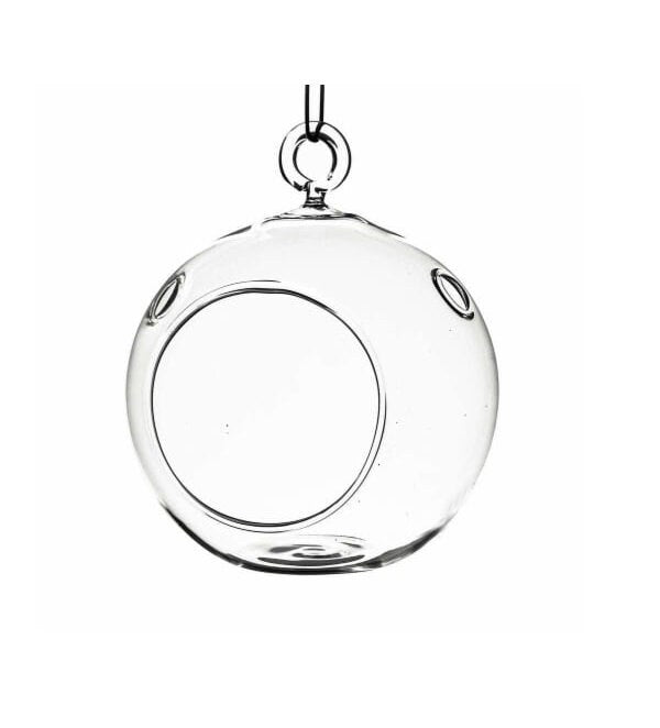 Clear Round Hanging Terrarium Globe 6" HCH0106