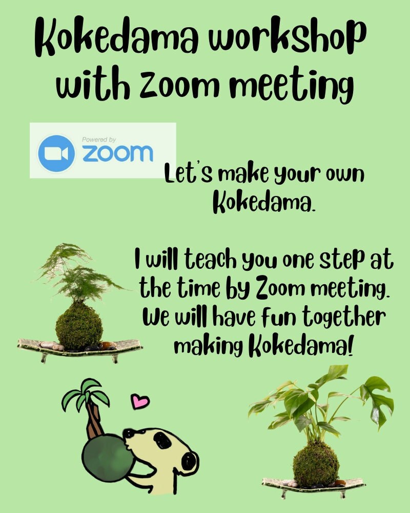 Online Kokedama Workshop by Zoom meeting with DIY Kit -  You just need to purchase your plant on your own,  locally.