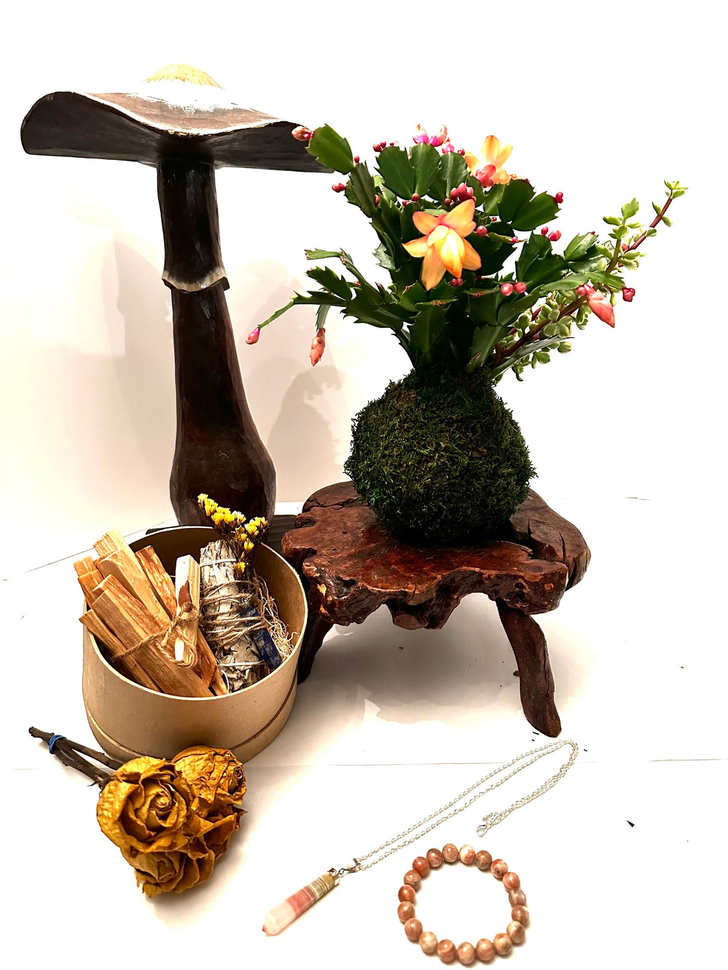 Christmas Gift Bundle! Christmas Cactus arranged Kokedama, healing gem stone, clearing white sage and Santo points wood.
