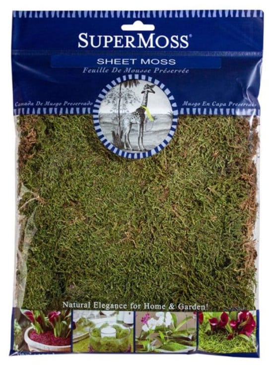 Preserved sheet moss - making kokedama, re-wrap, refresh kokedama's moss