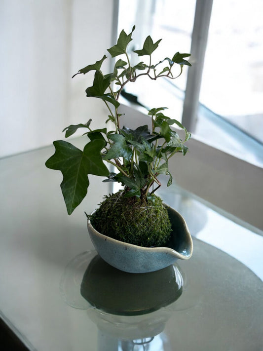 Soft Aqua color,  Japanese ceramic bowl, Hand-formed / Wabi-sabi style, Natural, rustic and earthy glazes. 6" x 4.5" x 2.25"h 変形
