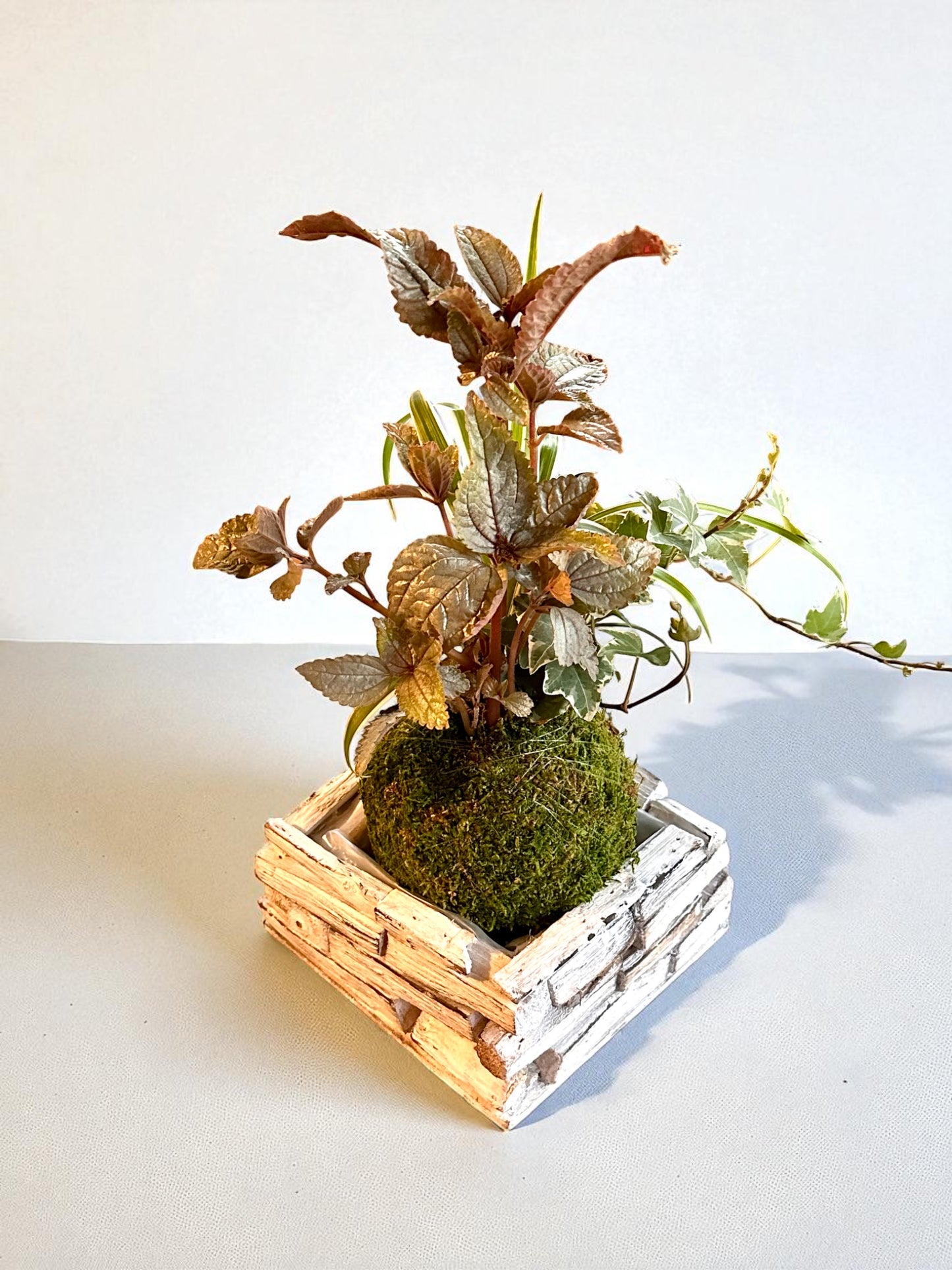 White Painted Wooden Square Plant Saucer – 8" x 8" 3.5" height