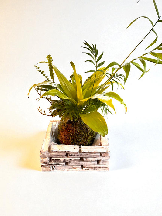 White Painted Wooden Square Plant Saucer – 8" x 8" 3.5" height