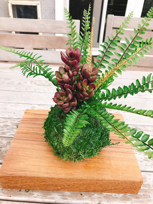 Kokedama - Artifitial plant Kokedama Arrangement, succulent arrangement.