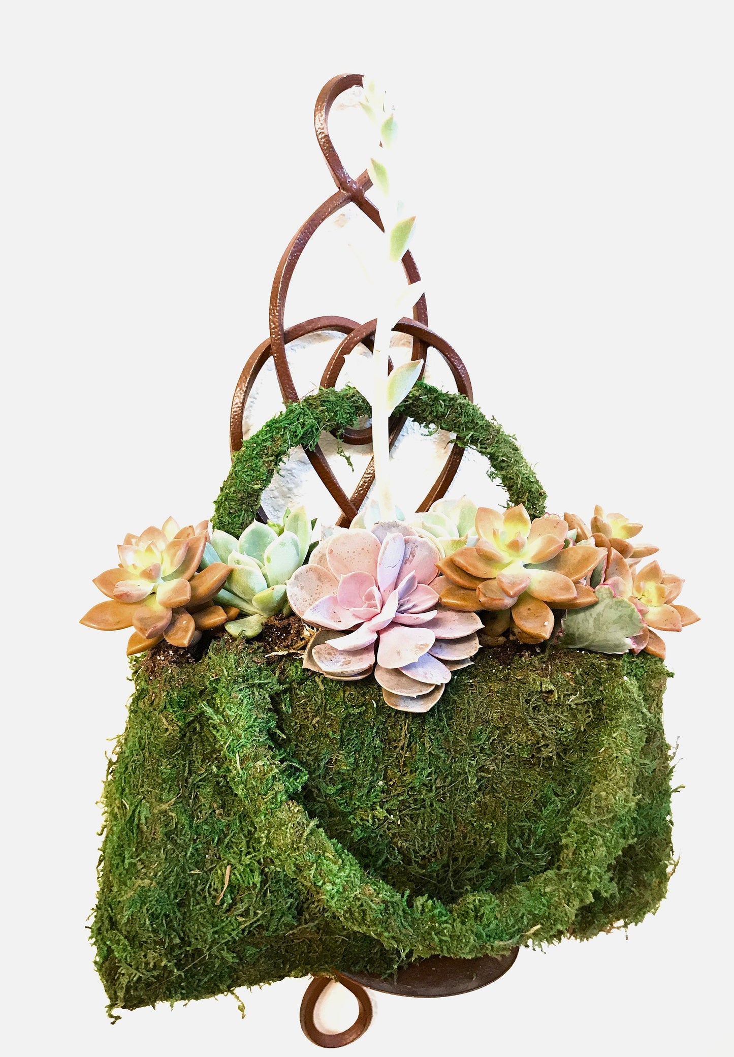 Succulents Moss deco purse - Fresh Green Moss Basket! Mindful ess house decor!