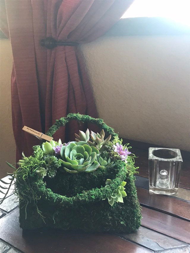 Succulents Moss deco purse - Fresh Green Moss Basket! Mindful ess house decor!